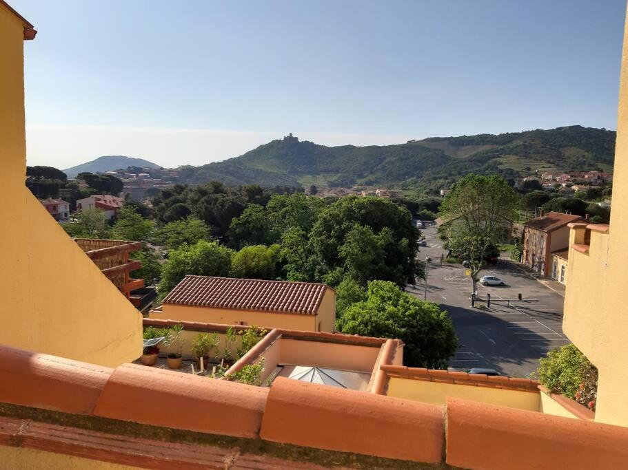 Superbe Appartement De 94M2 Avec Vue Sur Le Fort St Elme 科利尤尔 外观 照片